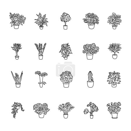Téléchargez les illustrations : Houseplants ligne noire icônes ensemble. - en licence libre de droit
