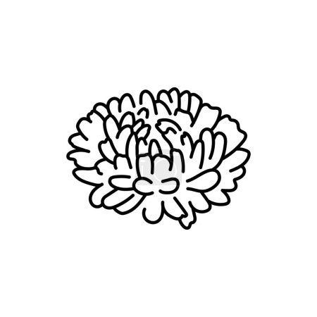 Illustration for Astra flower black line - Royalty Free Image