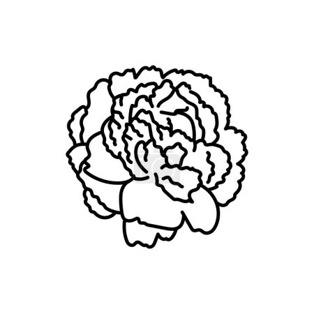 Illustration for Peony black line black and white vector illustration - Royalty Free Image