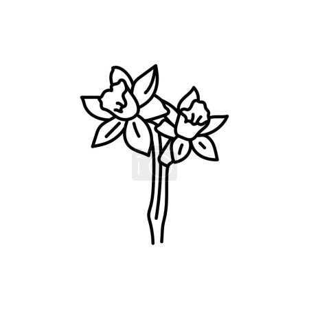 Illustration for Narcissus flower black line - Royalty Free Image