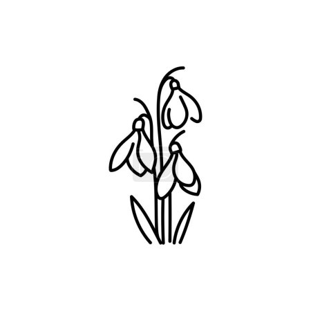 Illustration for Snowdrop flower black line - Royalty Free Image