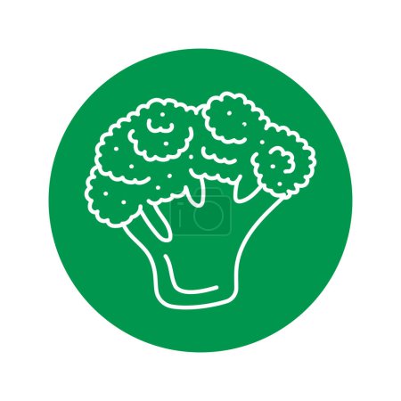 Illustration for Broccoli color line icon. Healthy food. - Royalty Free Image