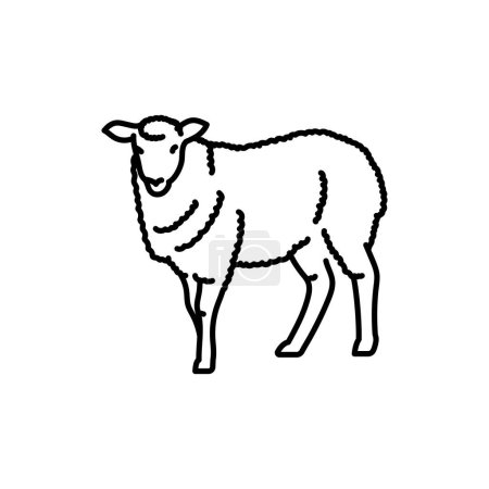 Ilustración de Icono de línea negra oveja. Animales de granja. - Imagen libre de derechos