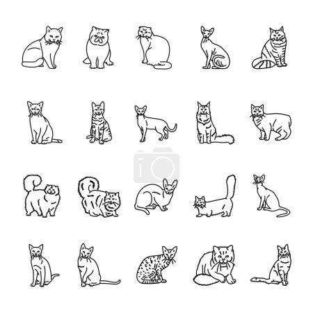 Illustration for Cat breeds black line icons set. Pictograms for web page - Royalty Free Image