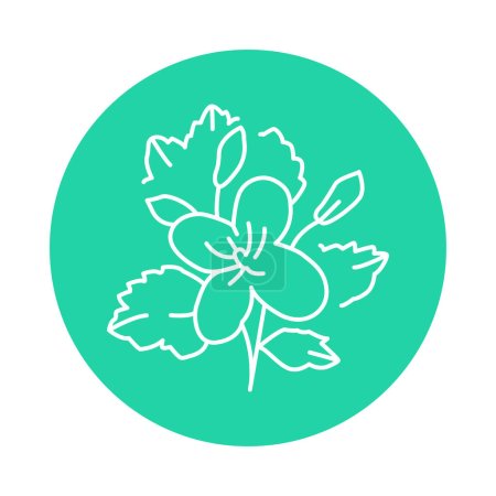 Téléchargez les illustrations : Celandine icône de ligne de couleur végétale. Pictogramme pour page web - en licence libre de droit