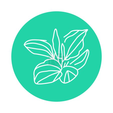 Téléchargez les illustrations : Plantain icône de ligne de couleur végétale. Pictogramme pour page web - en licence libre de droit