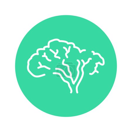 Téléchargez les illustrations : Velours Amur icône de ligne de couleur d'arbre. Pictogramme pour page web - en licence libre de droit