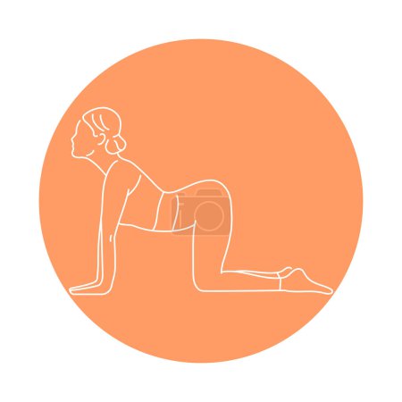 Illustration for Marjariasana cat pose color line illustration. Pictogram for web page - Royalty Free Image