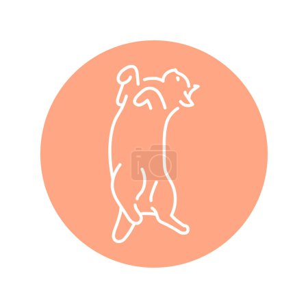 Ilustración de Lying cat on back color line icon. Pictogram for web page - Imagen libre de derechos