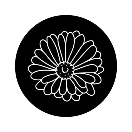 Illustration for Calendula flower black line - Royalty Free Image