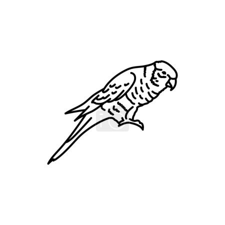 Téléchargez les illustrations : Icône de ligne noire oiseau loriquet multicolore. - en licence libre de droit