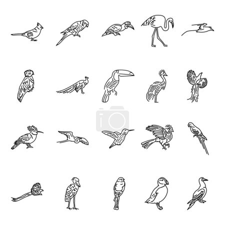 Téléchargez les illustrations : Oiseaux exotiques ligne noire icônes ensemble. - en licence libre de droit