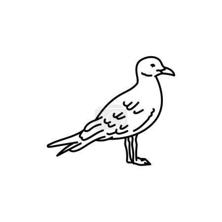 Illustration for Gull bird black line icon. - Royalty Free Image