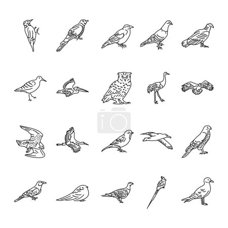 Téléchargez les illustrations : Oiseaux ligne noire icônes ensemble. - en licence libre de droit