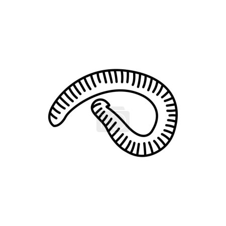 Illustration for African centipede black line icon. - Royalty Free Image