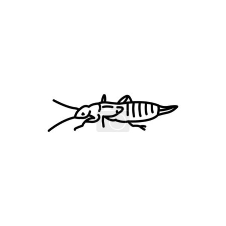 Illustration for Earwig insect black line icon. - Royalty Free Image