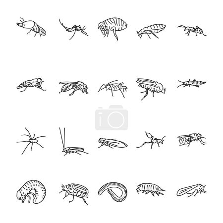 Téléchargez les illustrations : Insectes nuisibles icône ligne noire. - en licence libre de droit