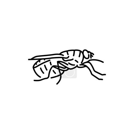 Ilustración de Tsetse indect icono de línea negra. - Imagen libre de derechos