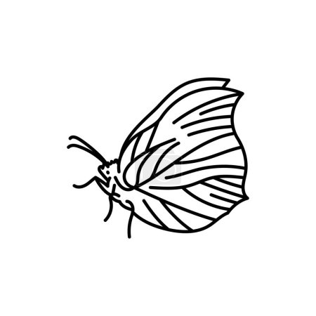 Gonepteryx rhamni Brimstone black line icon. 