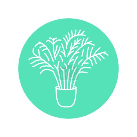 Téléchargez les illustrations : Hamedorrhoea plante d'intérieur ligne noire icône. Plante décorative d'intérieur. - en licence libre de droit
