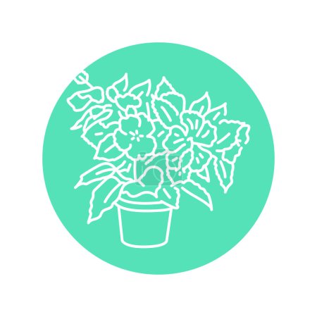 Ilustración de Hibiscus houseplant icono de línea negra. Planta decorativa interior. - Imagen libre de derechos