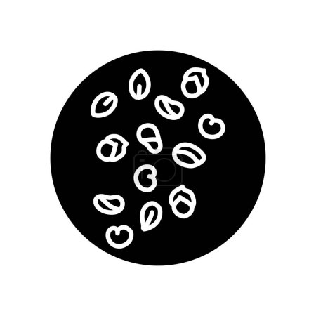 Ilustración de Icono de línea negra de semillas de amaranto. Comida orgánica natural súper. - Imagen libre de derechos