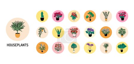 Téléchargez les illustrations : Plantes d'intérieur illustrations vectorielles de couleur. - en licence libre de droit