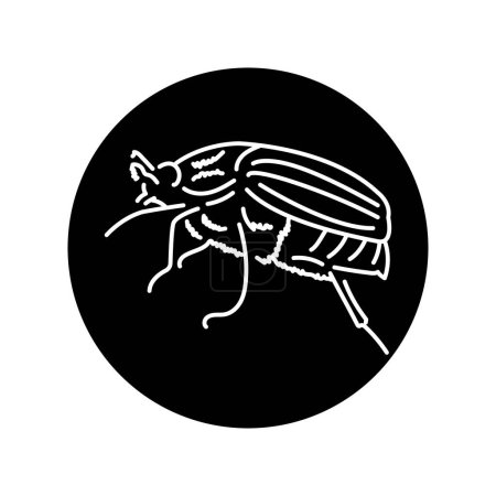 Illustration for Chafer black line icon. - Royalty Free Image