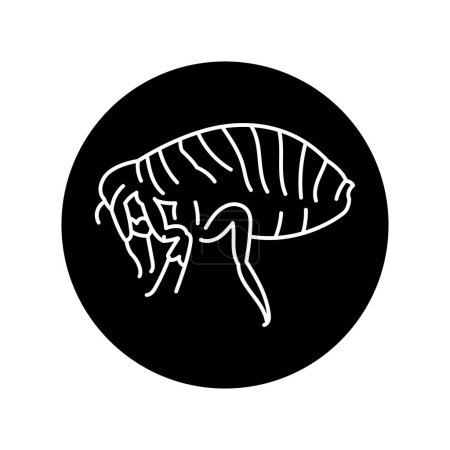 Illustration for Flea black line icon. - Royalty Free Image