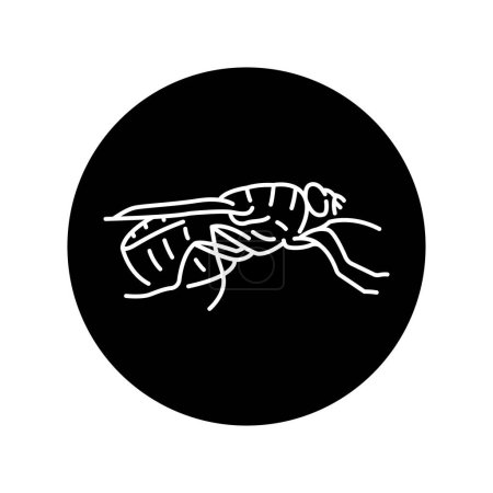 Ilustración de Tsetse indect icono de línea negra. - Imagen libre de derechos
