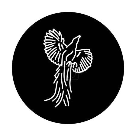 Illustration for Bird of Paradise black line icon. - Royalty Free Image