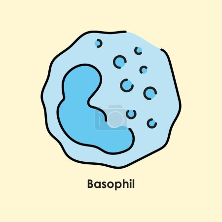 Illustration for Basophil color icon. White blood cells in the blood vessels. - Royalty Free Image