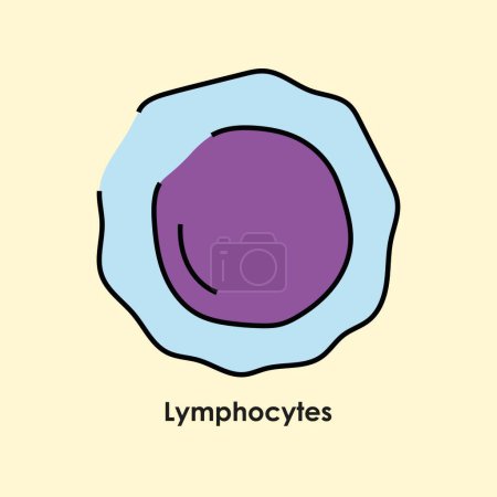 Téléchargez les illustrations : Icône de couleur lymphocytes. globules blancs dans les vaisseaux sanguins. - en licence libre de droit