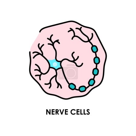 Ilustración de Icono de línea de color de neurona cerebral. Microorganismos microbios, bacterias. - Imagen libre de derechos