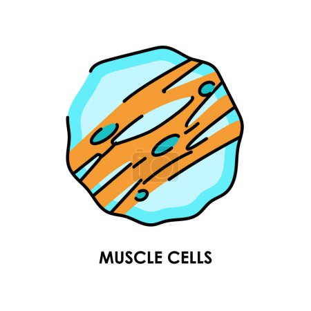 Illustration for Muscle cells color line icon. Microorganisms microbes, bacteria. - Royalty Free Image