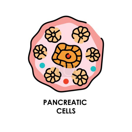 Illustration for Pancreatic cell color line icon. Microorganisms microbes, bacteria. - Royalty Free Image
