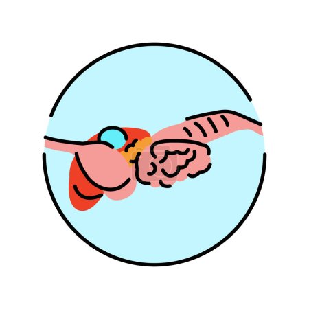 Ilustración de Icono de línea de color de anatomía del órgano del perro. Organización en el organismo. - Imagen libre de derechos