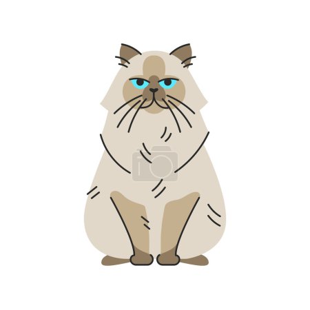 Illustration for Himalayan cat sitting color element.  Cartoon cute animal. - Royalty Free Image