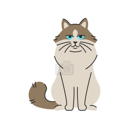 Illustration for Ragdoll cat sitting color element. Cartoon cute animal. - Royalty Free Image