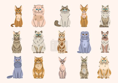 Illustration for Cat breeds color elements. Cartoon cute animal. - Royalty Free Image