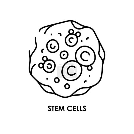Téléchargez les illustrations : Icône de ligne de couleur cellulaire biologique. Microorganismes microbes, bactéries. - en licence libre de droit