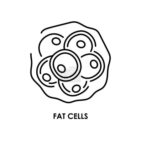 Téléchargez les illustrations : Icône de ligne de couleur de cellules grasses. Microorganismes microbes, bactéries. - en licence libre de droit