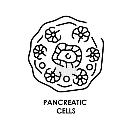 Illustration for Pancreatic cell color line icon. Microorganisms microbes, bacteria. - Royalty Free Image
