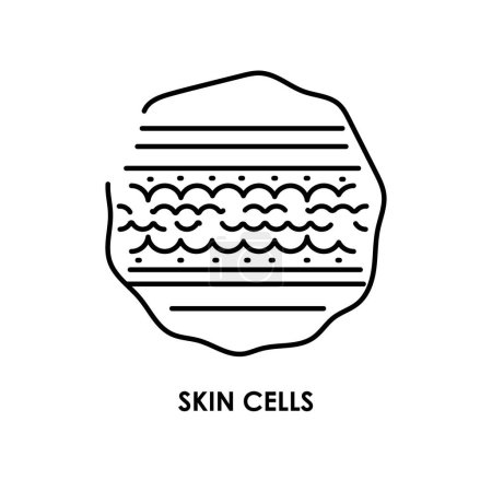 Illustration for Skin cells color line icon. Microorganisms microbes, bacteria. - Royalty Free Image