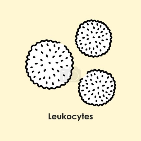 Ilustración de Icono de color leucocitos. Glóbulos blancos en los vasos sanguíneos. - Imagen libre de derechos