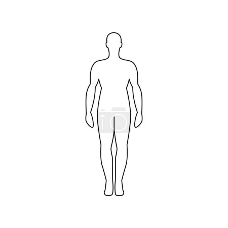 Illustration for Men body color line icon. Organisation in organism. - Royalty Free Image