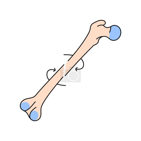 Illustration for Spiral bone fracture line icon. - Royalty Free Image