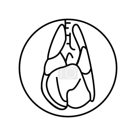 Ilustración de Pulmones del icono de la línea de color del perro. Organización en el organismo. - Imagen libre de derechos