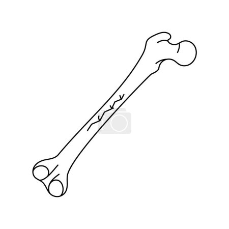 Ilustración de Icono de línea de fractura ósea lineal. - Imagen libre de derechos