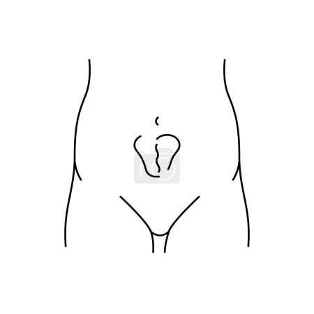 Ilustración de Icono de línea de hernia incisional. Elemento aislado del vector. - Imagen libre de derechos